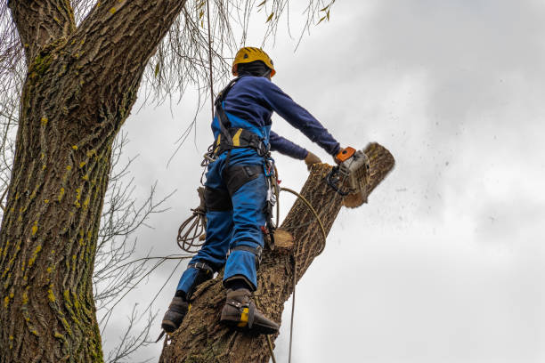 Mulching Services in Cornelius, OR