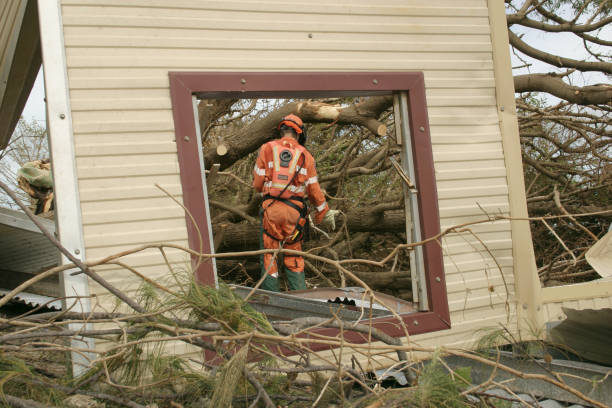 Reliable Cornelius, OR Tree Services Solutions